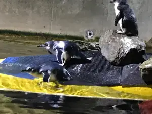 EcoWorld Aquarium & Wildlife Rehabilitation Centre