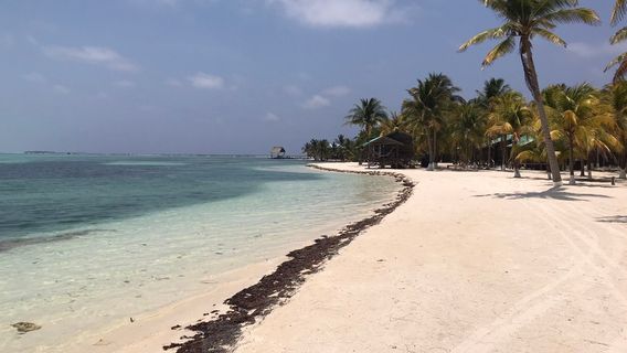 Placencia