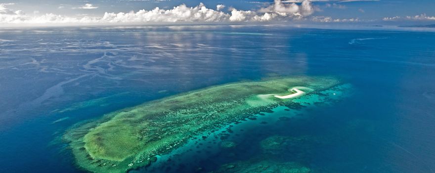Cape Tribulation