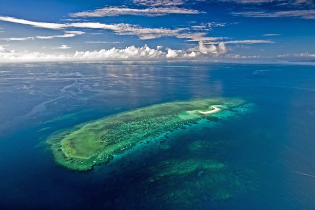 Cape Tribulation