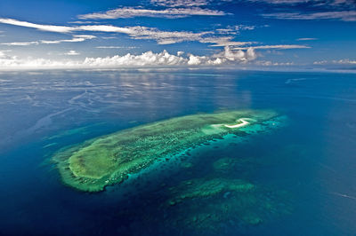 Ocean Safari