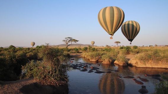 Serengeti Hippo Pool