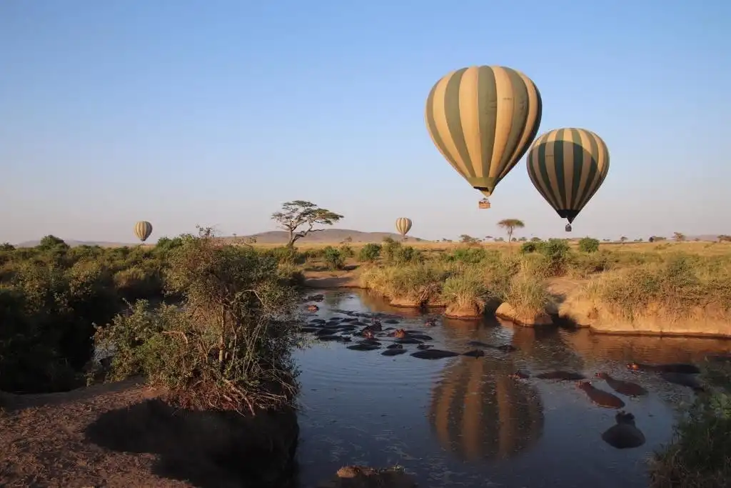 Hotels near Serengeti Hippo Pool