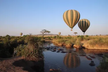 Serengeti Hippo Pool