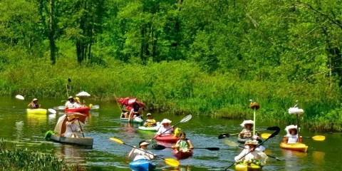 White Memorial Conservation Center