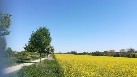 Bielefeld