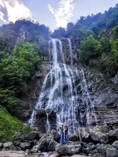 Arılı