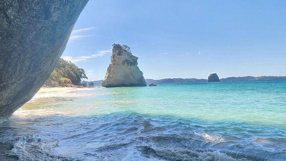 Cathedral Cove Kayak Tours