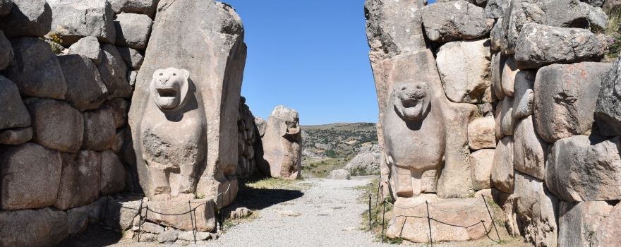 Lion's Gate