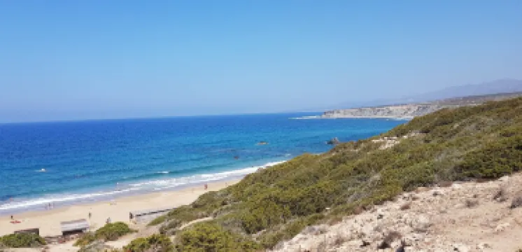 Lara Bay Turtle Conservation Station