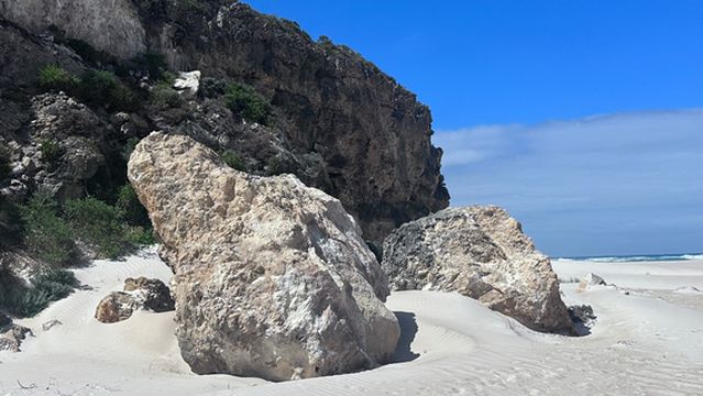 Donnelly River Cruises