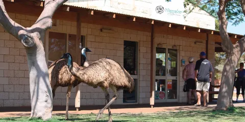 Ningaloo Centre