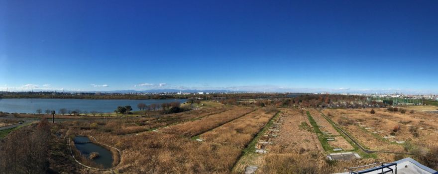 Lake Sai & Doman Green Park