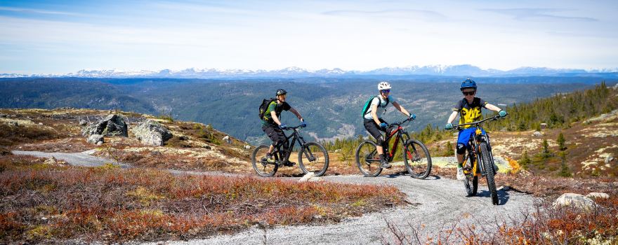 Biking in Nesbyen