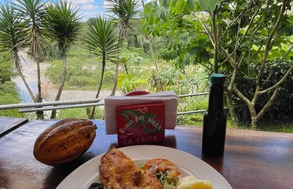 曼努埃爾安東尼奧