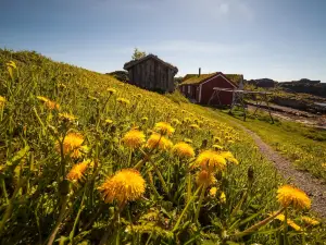 Lofoten Museum