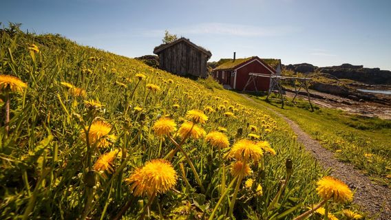 Lofoten Museum