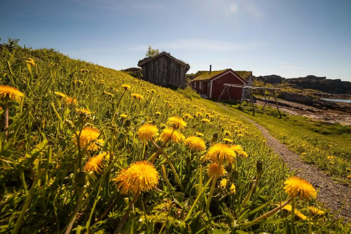Hotels near Lofoten Museum