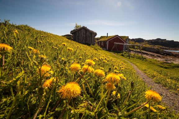 Lofoten Museum