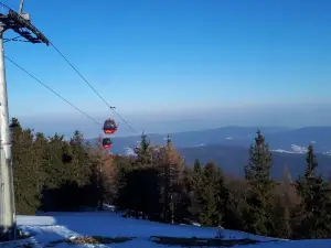 Jaworzyna Krynicka