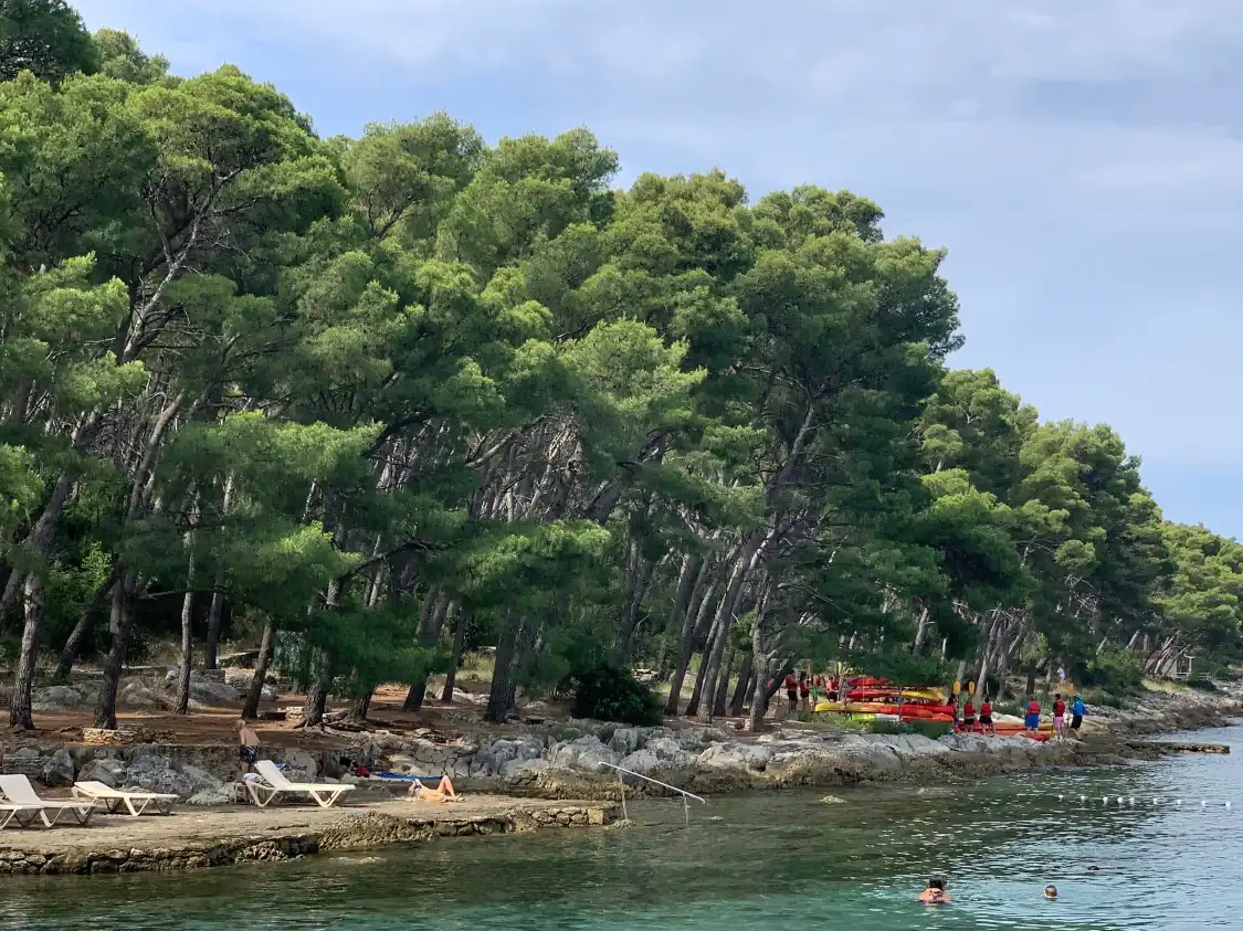 Hotel in zona Bene Beach