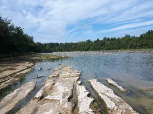 Falls Reserve Conservation Area