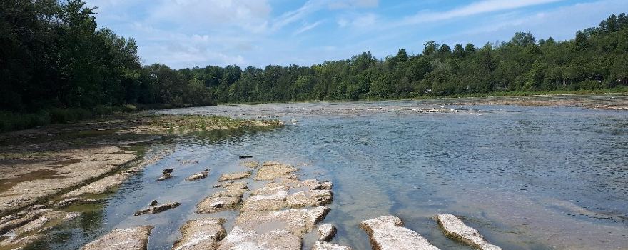 Falls Reserve Conservation Area