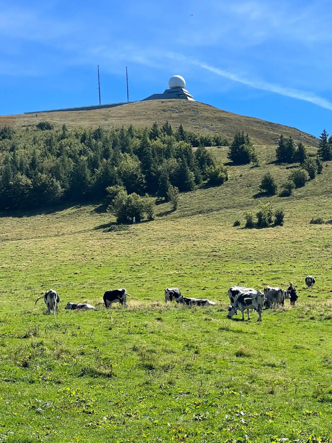 Hôtels à proximité de : Grand Ballon