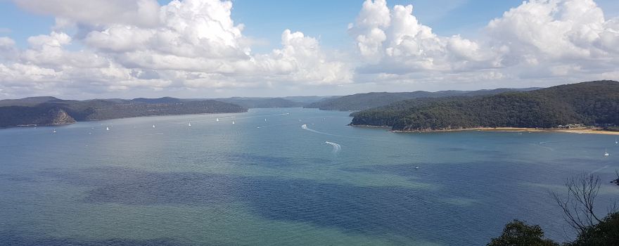 Warrah Lookout