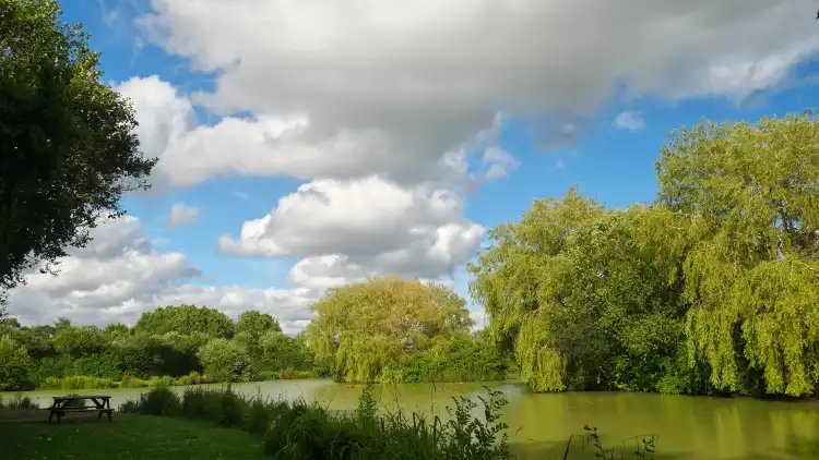 Hotels in Woodchurch