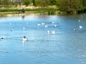 Le Parc Naturel du Marais