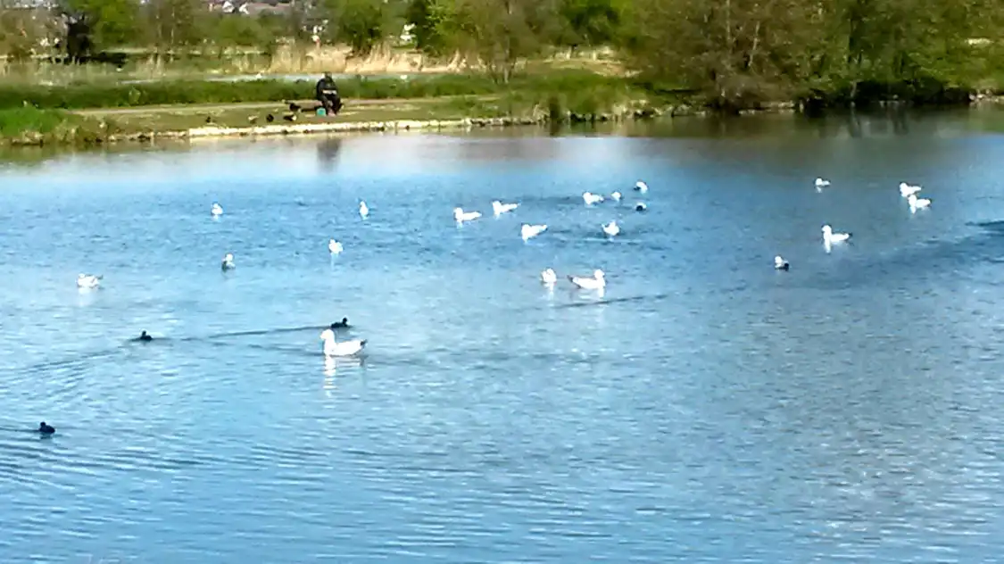 Hotels near Le Parc Naturel du Marais