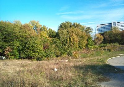 Dnipropetrovsk University Botanical Garden