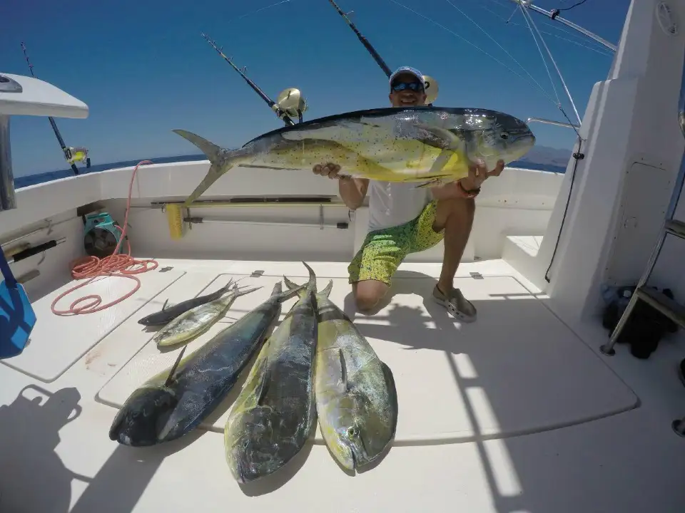 3_CAVALIER & BLUE MARLIN FISHING CHARTERS