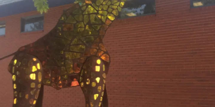 WOW! Children's Museum