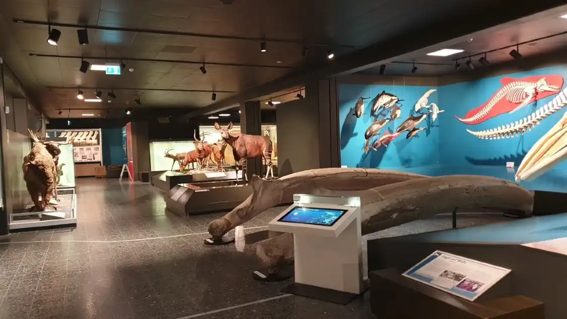 Hotel in zona Zoologisches Museum