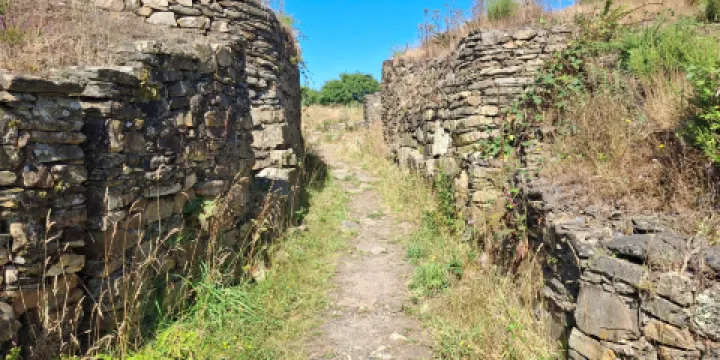 Castro de Castromaoior