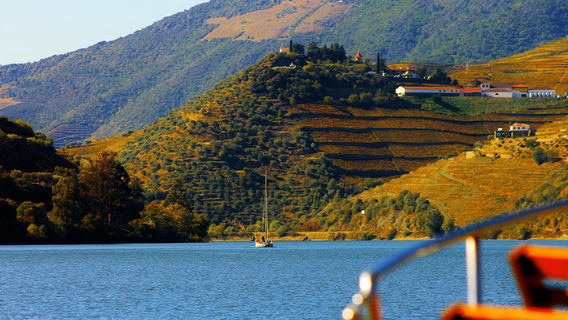 Douro à Vela