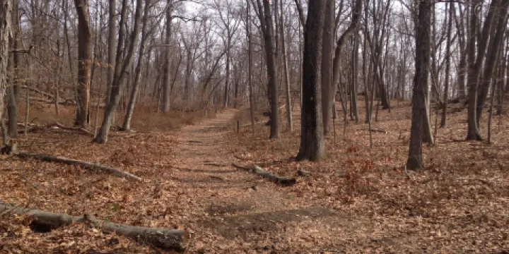 Brinton Brook Sanctuary