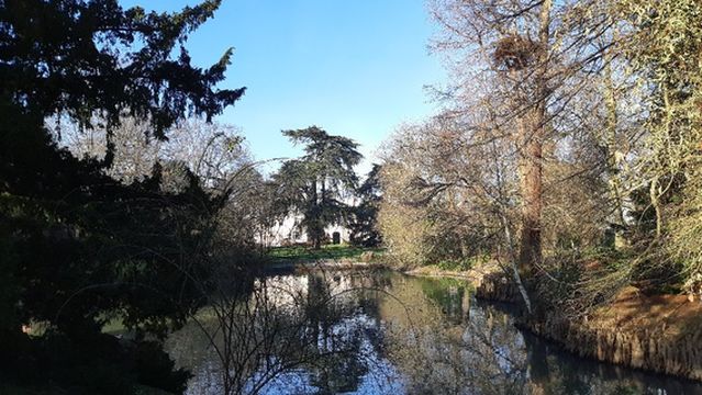 Park Hamelin Oberthur