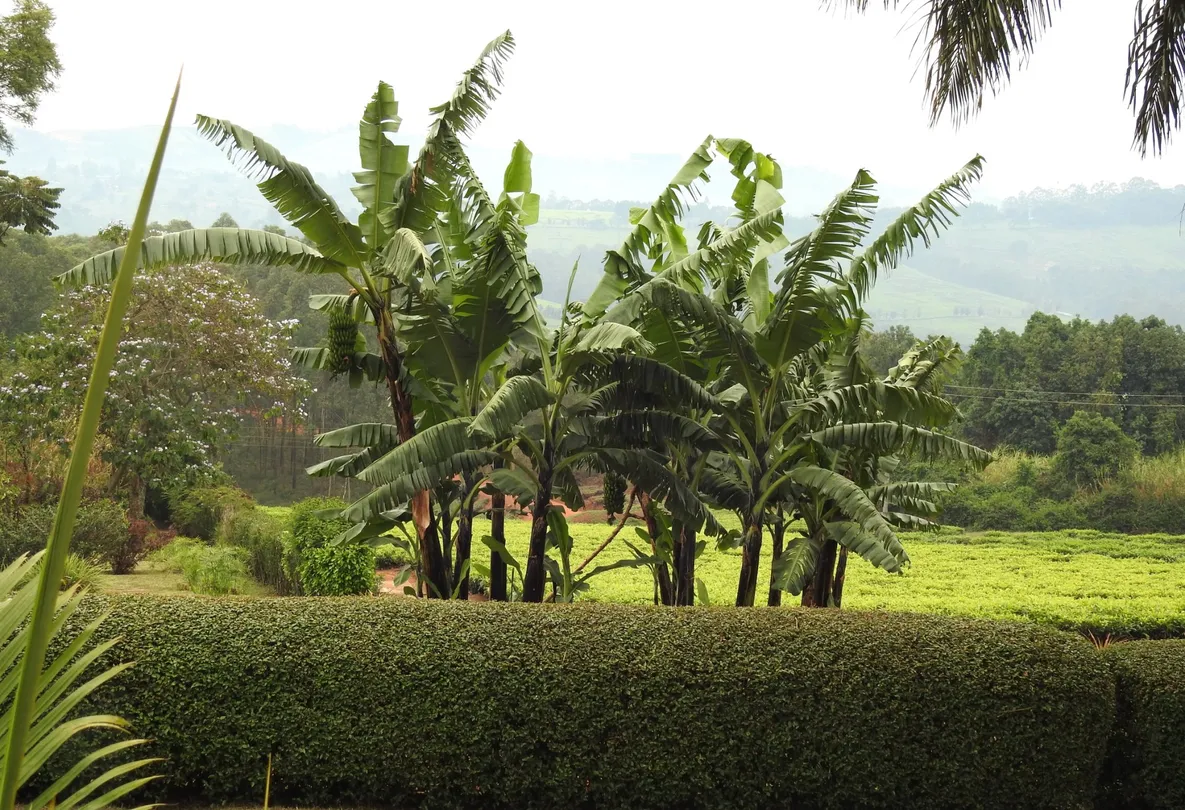 1_Johnnie Uganda Safaris