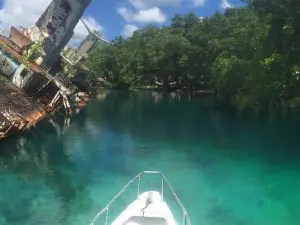 Coral Sea Resort Boat Charter
