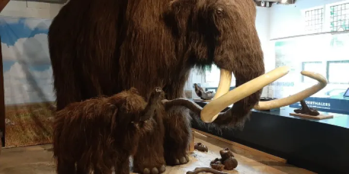 OERmuseum West-Drenthe