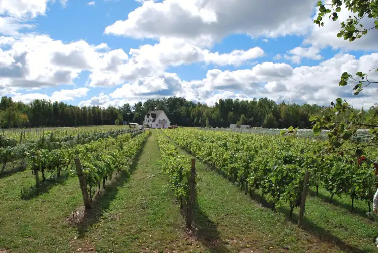 Hotels in Memramcook