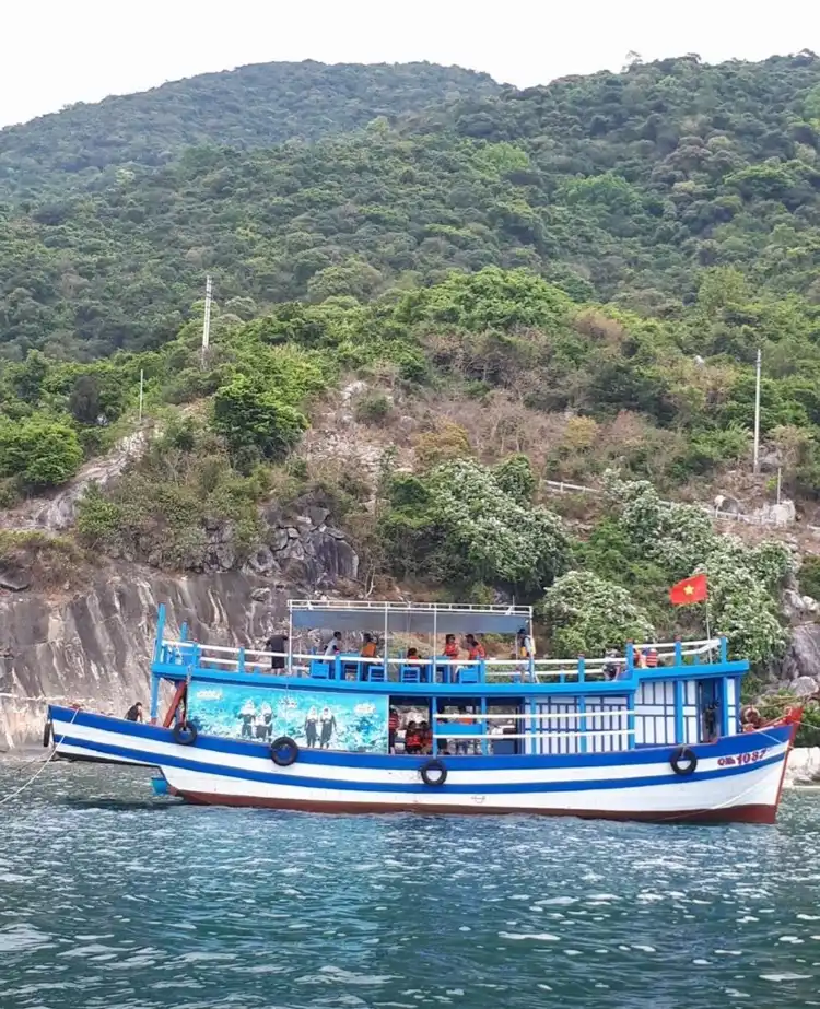 Hotel in zona Sea TREK VietNam