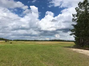 H Cooper Black Jr. Memorial Field Trial & Recreation Area