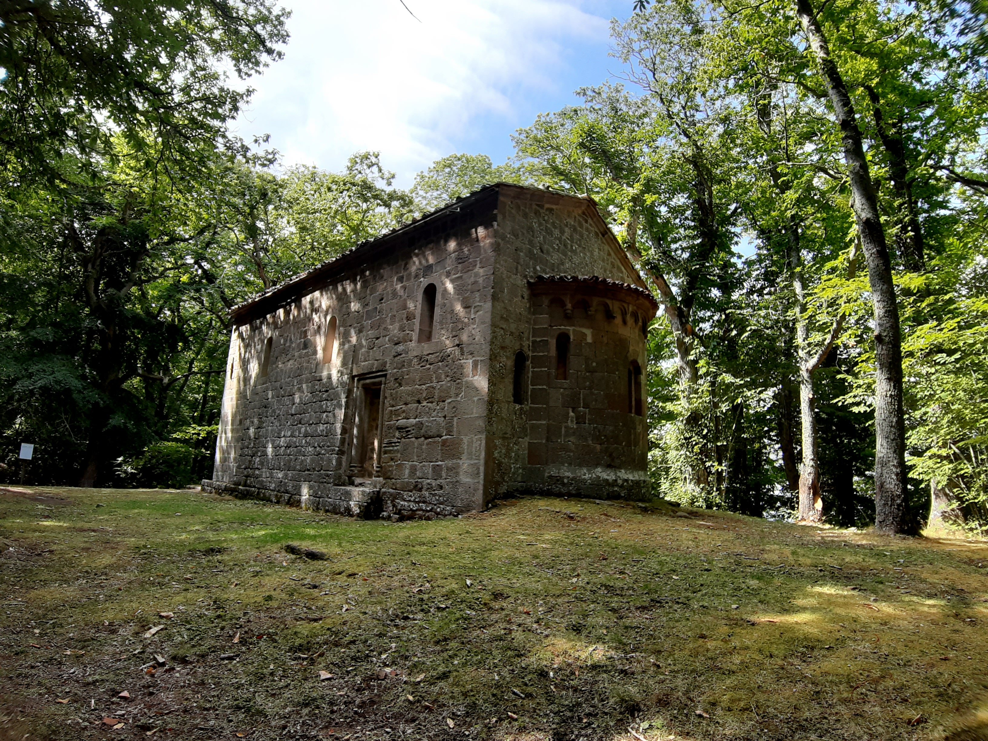 Vivo Dorcia