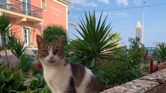 Petra Beach, Lesvos, Greece