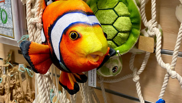 Agnes Water & Town of 1770 Visitor Information Centre