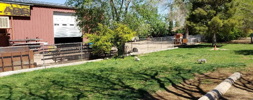 Lewis Kingman Park